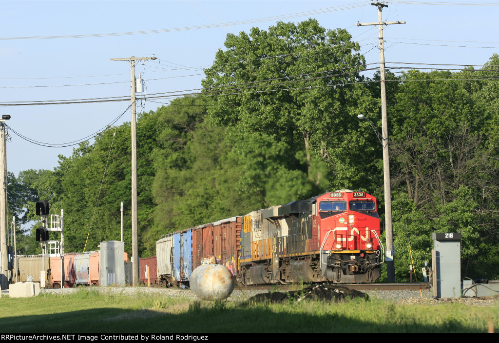 CN 3836